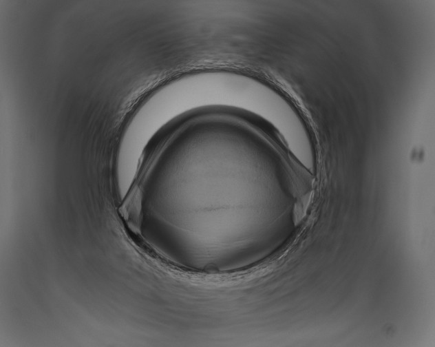 X0000088860019200706291528