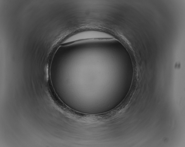 X0000088860020200706291528