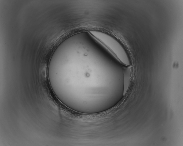 X0000088860021200706291528