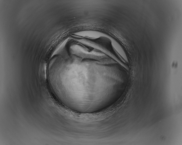 X0000088860022200706291528