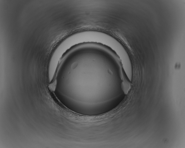 X0000088860023200706291528