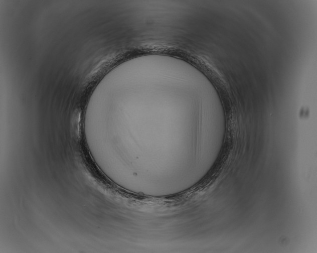 X0000088860024200706291528