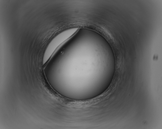 X0000088860025200706291528