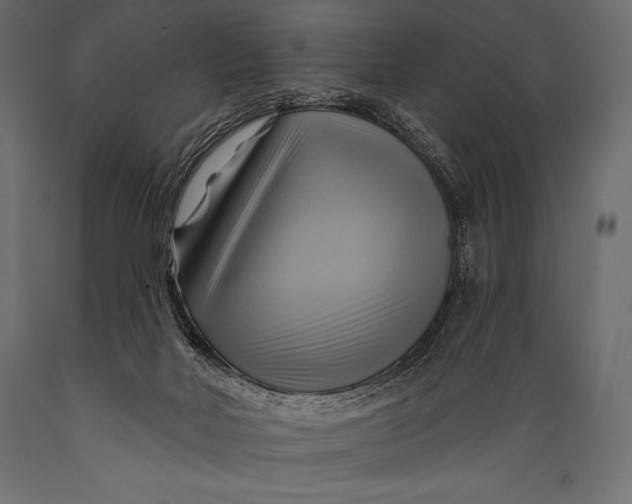 X0000088860026200706291528