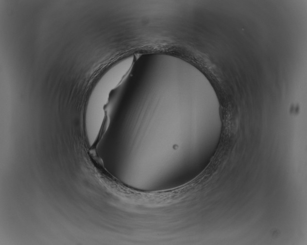 X0000088860027200706291528