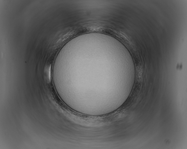 X0000088860028200706291528