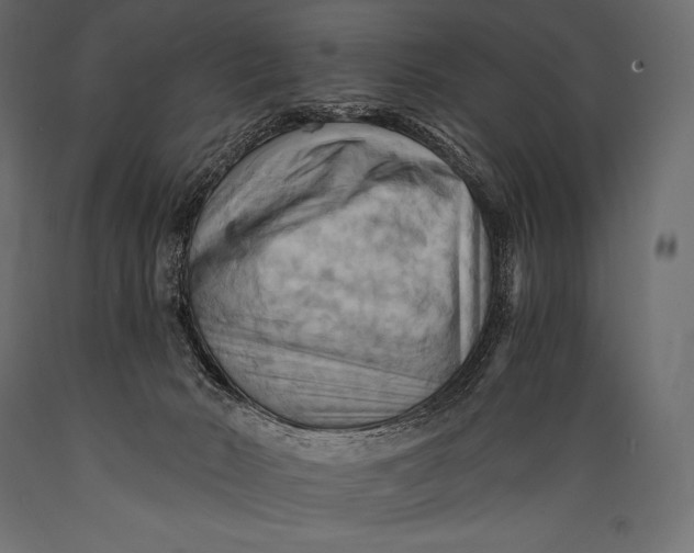 X0000088860030200706291528