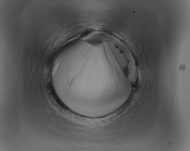 X0000088860031200706291528