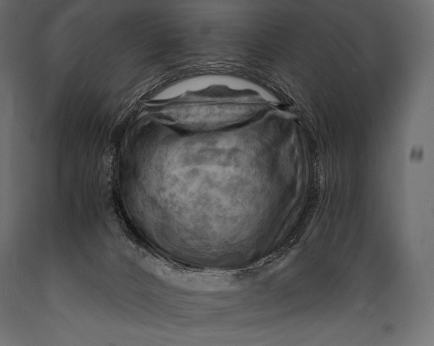 X0000088860032200706291528