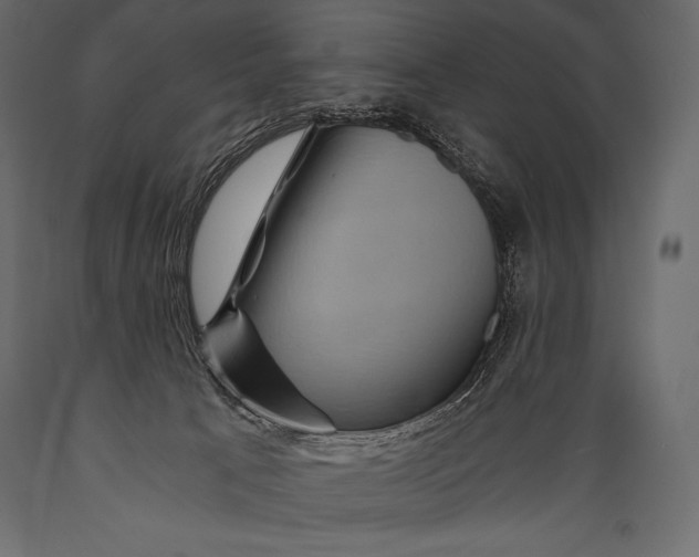 X0000088860033200706291528