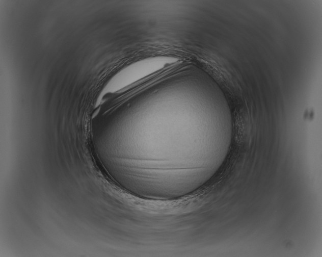 X0000088860034200706291528