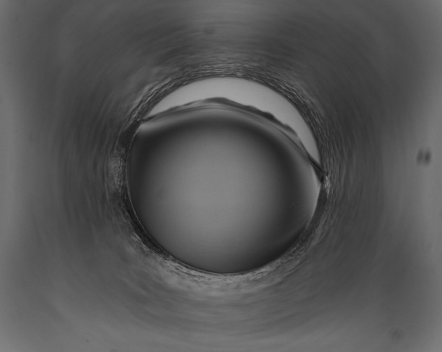 X0000088860035200706291527