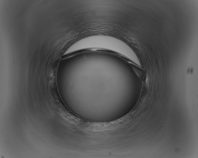 X0000088860037200706291527