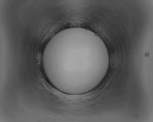 X0000088860038200706291527