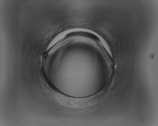 X0000088860039200706291527