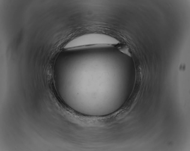 X0000088860040200706291527