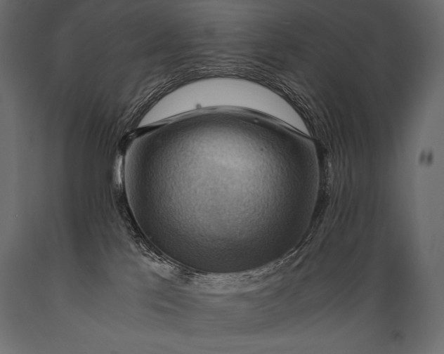 X0000088860041200706291527