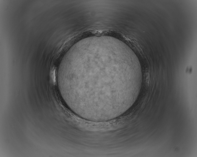 X0000088860042200706291527