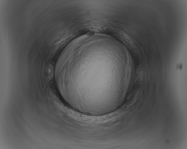 X0000088860043200706291527