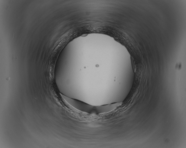 X0000088860044200706291527