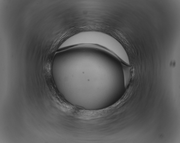 X0000088860045200706291527