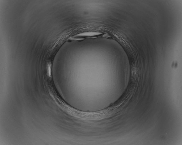 X0000088860046200706291527