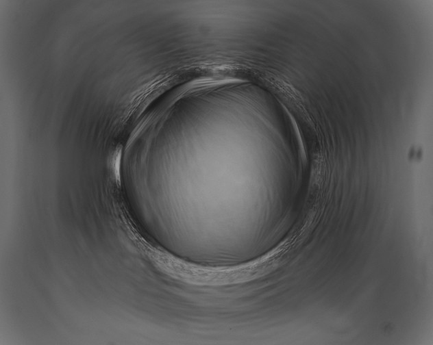 X0000088860047200706291527