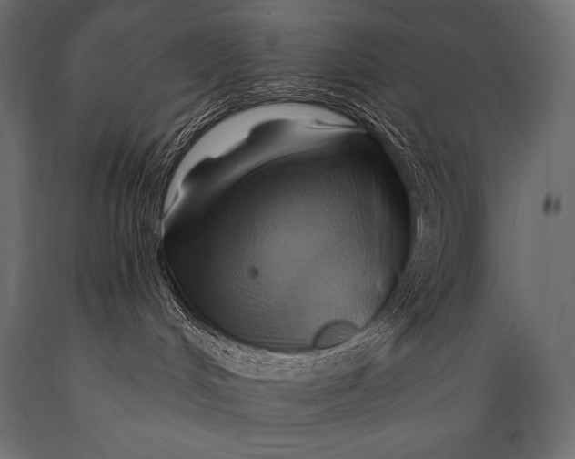 X0000088860048200706291527