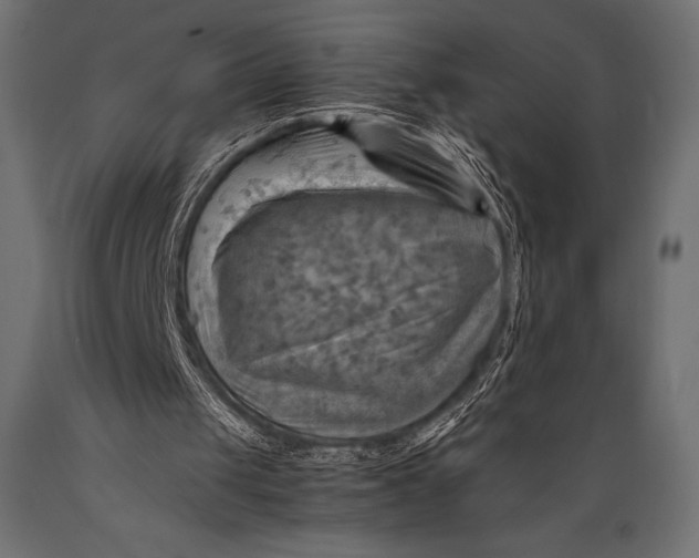 X0000088860049200706291527