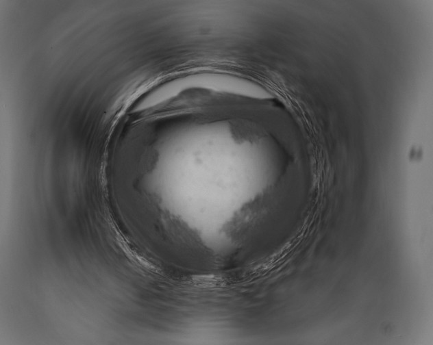 X0000088860050200706291527