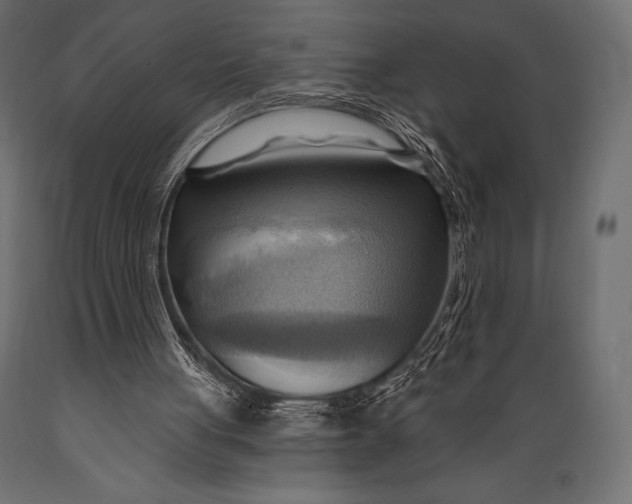 X0000088860051200706291527