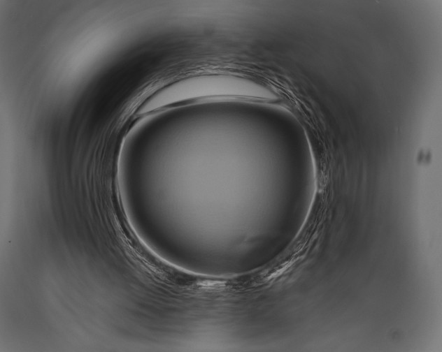 X0000088860052200706291527