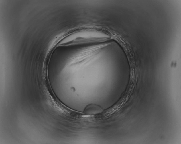 X0000088860053200706291527