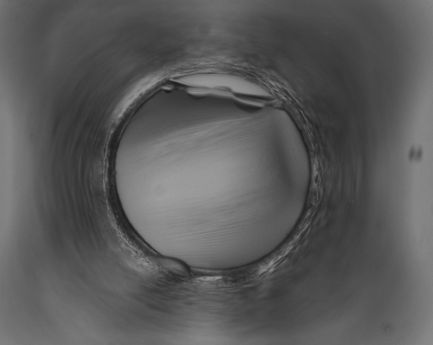 X0000088860054200706291527