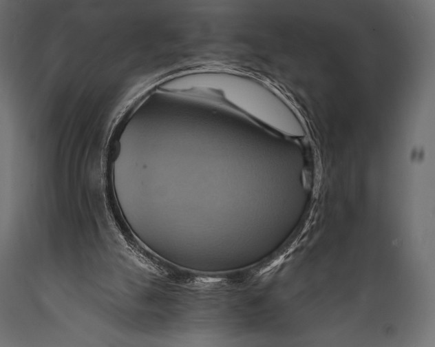 X0000088860055200706291527