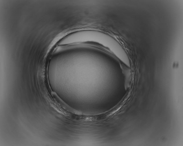 X0000088860056200706291527