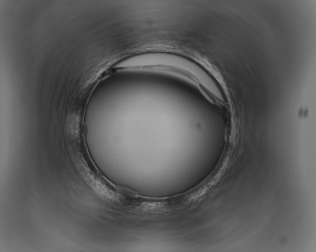 X0000088860057200706291527