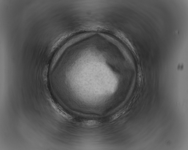 X0000088860058200706291527