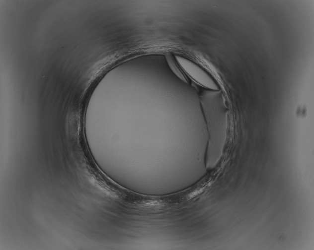 X0000088860059200706291527