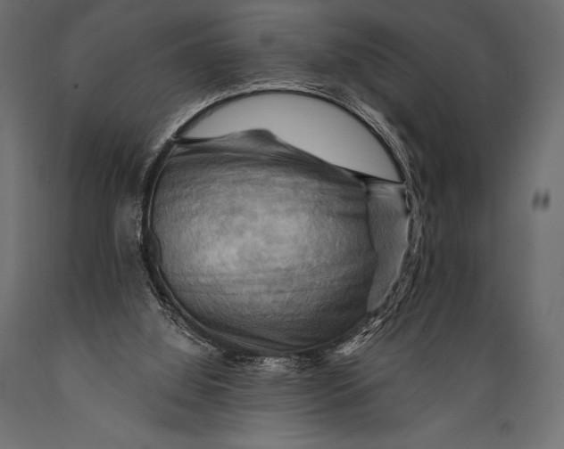 X0000088860060200706291527