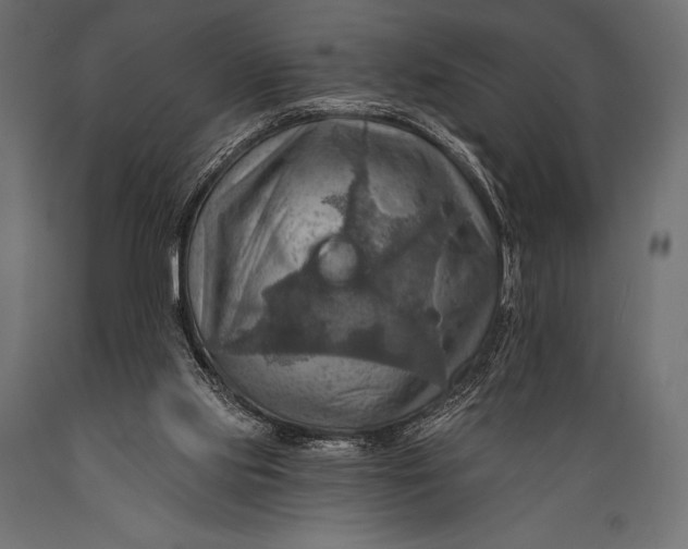 X0000088860061200706291527