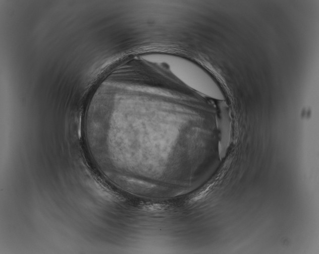 X0000088860062200706291527