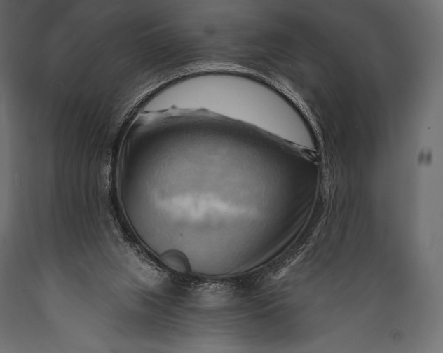 X0000088860063200706291527