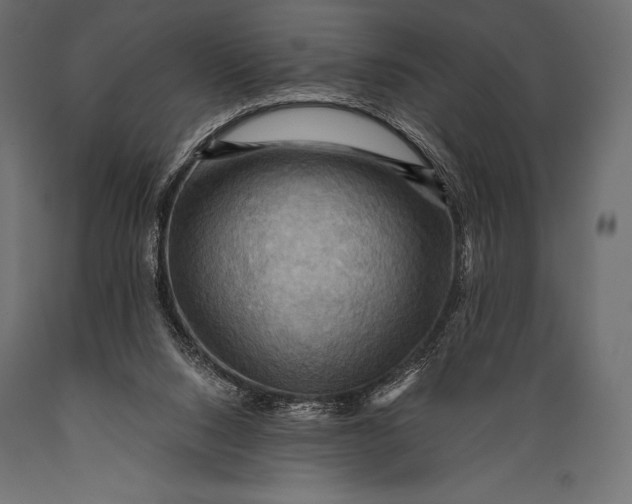 X0000088860064200706291527