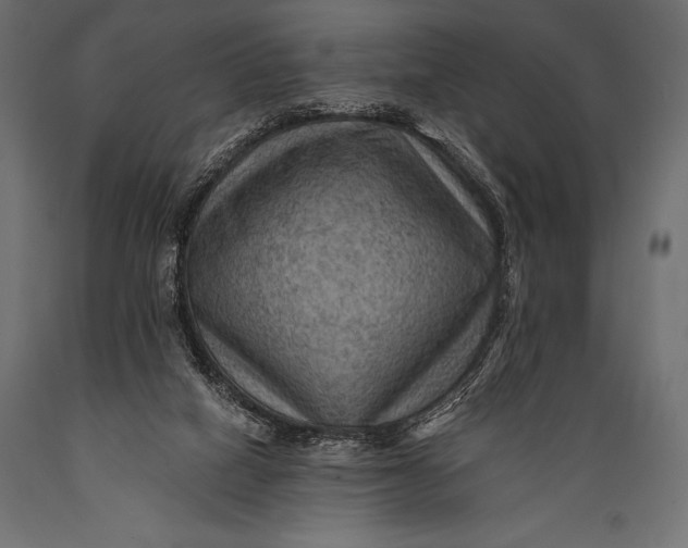 X0000088860066200706291527