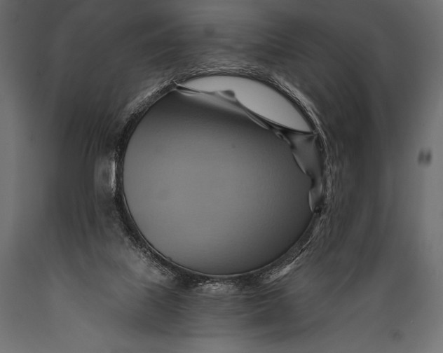 X0000088860067200706291527