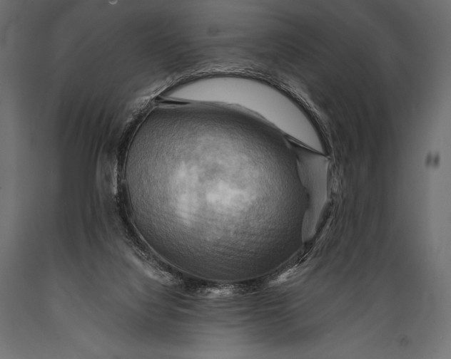 X0000088860068200706291527