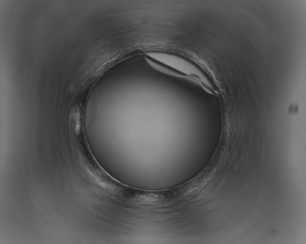 X0000088860069200706291527