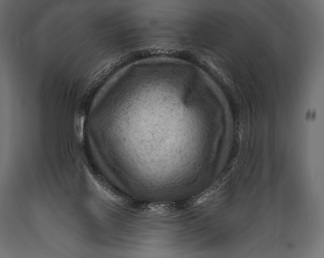 X0000088860070200706291527