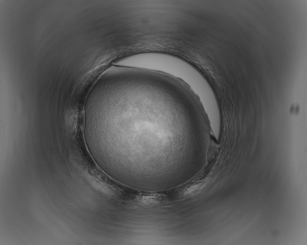 X0000088860072200706291527